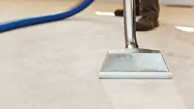 Carpet cleaning wand head gliding over a light carpet during hot-water extraction, Grand Rapids, MI.