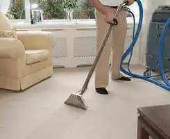 Carpet cleaning professional removing dirt and stains with a hot-water extraction tool in a home, Grand Rapids, MI.