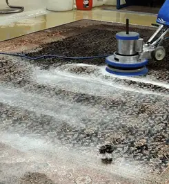 Professional rug cleaning with a rotary floor machine and shampoo foam, deep-cleaning an area rug Grand Rapids, MI.